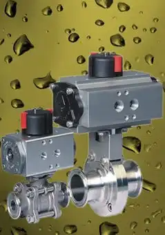 Sanitary Valves Sanitary Valves